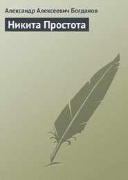 бесплатно читать книгу Никита Простота автора Александр Богданов