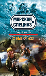 бесплатно читать книгу Объект 623 автора Сергей Зверев