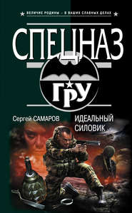 бесплатно читать книгу Идеальный силовик автора Сергей Самаров
