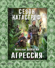 бесплатно читать книгу Агрессия автора Вячеслав Шалыгин