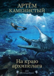 бесплатно читать книгу На краю архипелага автора Артем Каменистый