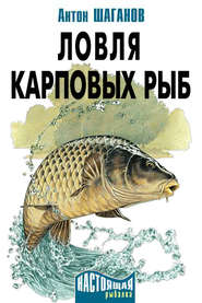 бесплатно читать книгу Ловля карповых рыб автора Антон Шаганов