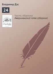 бесплатно читать книгу 24 автора Владимир Дэс