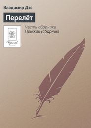 бесплатно читать книгу Перелёт автора Владимир Дэс