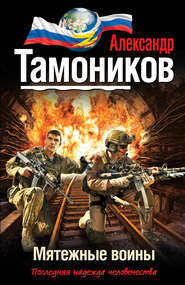 бесплатно читать книгу Мятежные воины автора Александр Тамоников