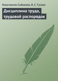 бесплатно читать книгу Дисциплина труда, трудовой распорядок автора Константин Сибикеев