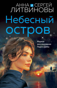 бесплатно читать книгу Небесный остров автора Анна и Сергей Литвиновы