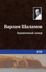 бесплатно читать книгу Одиночный замер автора Варлам Шаламов
