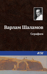 бесплатно читать книгу Серафим автора Варлам Шаламов