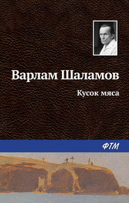 бесплатно читать книгу Кусок мяса автора Варлам Шаламов