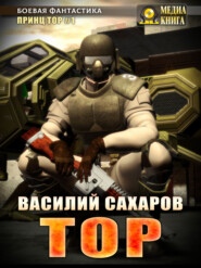 бесплатно читать книгу Тор автора Василий Сахаров