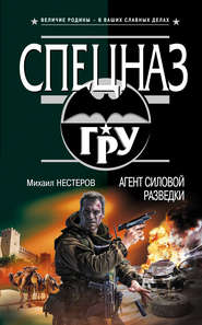 бесплатно читать книгу Агент силовой разведки автора Михаил Нестеров
