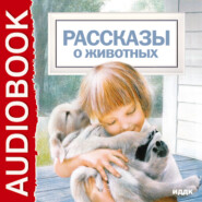 бесплатно читать книгу Рассказы о животных автора Антон Чехов
