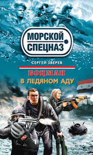 бесплатно читать книгу В ледяном аду автора Сергей Зверев