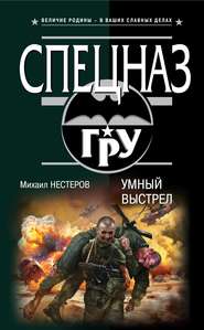 бесплатно читать книгу Умный выстрел автора Михаил Нестеров