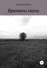 бесплатно читать книгу Времени мало автора Николай Бель