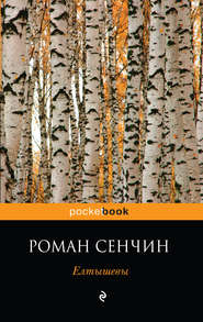 бесплатно читать книгу Елтышевы автора Роман Сенчин