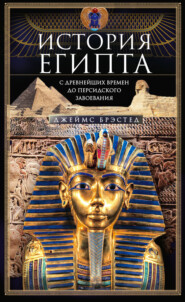 бесплатно читать книгу История Египта c древнейших времен до персидского завоевания автора Джеймс Брэстед