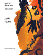 бесплатно читать книгу Дорога обратно (сборник) автора Андрей Дмитриев