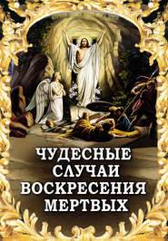бесплатно читать книгу Чудесные случаи воскресения мертвых автора Алексей Фомин