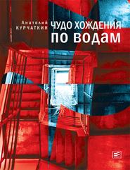 бесплатно читать книгу Чудо хождения по водам автора Анатолий Курчаткин