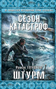 бесплатно читать книгу Штурм автора Роман Глушков