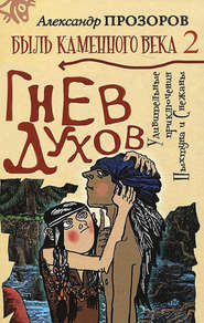 бесплатно читать книгу Гнев духов автора Александр Прозоров