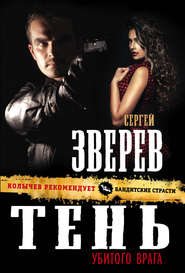 бесплатно читать книгу Тень убитого врага автора Сергей Зверев