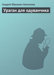 бесплатно читать книгу Ураган для одуванчика автора Андрей Анисимов