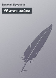 бесплатно читать книгу Убитая чайка автора Василий Брусянин