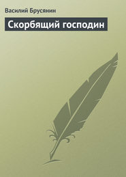 бесплатно читать книгу Скорбящий господин автора Василий Брусянин