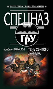 бесплатно читать книгу Тень сбитого лайнера автора Альберт Байкалов