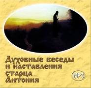 бесплатно читать книгу Духовные беседы и наставления старца Антония автора Антоний Схиархимандрит