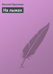 бесплатно читать книгу На лыжах автора Василий Брусянин