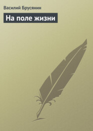 бесплатно читать книгу На поле жизни автора Василий Брусянин