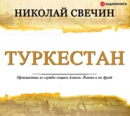 бесплатно читать книгу Туркестан автора Николай Свечин