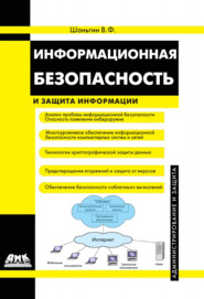 бесплатно читать книгу Информационная безопасность автора Владимир Шаньгин