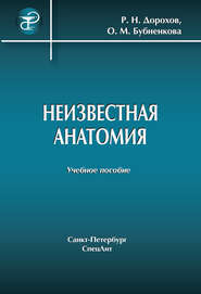 бесплатно читать книгу Неизвестная анатомия: учебное пособие автора Ратмир Дорохов