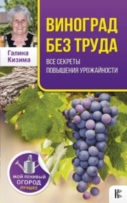 бесплатно читать книгу Виноград без труда автора Галина Кизима