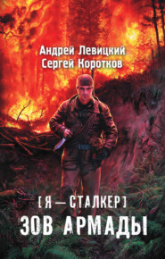 бесплатно читать книгу Зов Армады автора Андрей Левицкий