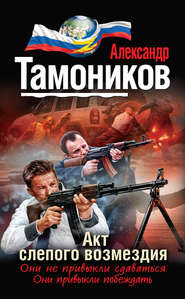 бесплатно читать книгу Акт слепого возмездия автора Александр Тамоников