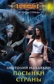 бесплатно читать книгу Пасынки Страны автора Анатолий Махавкин