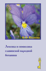 бесплатно читать книгу Лексика и символика славянской народной ботаники. Этнолингвистический аспект автора Валерия Колосова