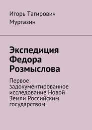 бесплатно читать книгу Экспедиция Федора Розмыслова автора Игорь Муртазин