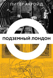 бесплатно читать книгу Подземный Лондон автора Питер Акройд