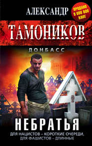 бесплатно читать книгу Небратья автора Александр Тамоников