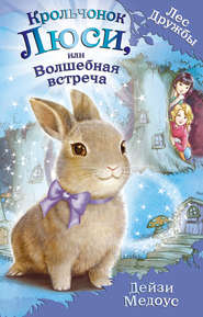 бесплатно читать книгу Крольчонок Люси, или Волшебная встреча автора Дейзи Медоус