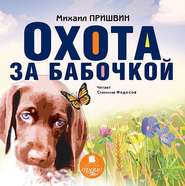 бесплатно читать книгу Охота за бабочкой автора Михаил Пришвин