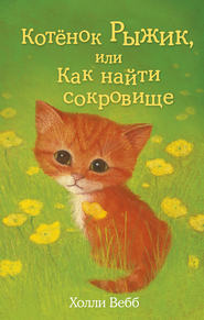 бесплатно читать книгу Котёнок Рыжик, или Как найти сокровище автора Холли Вебб