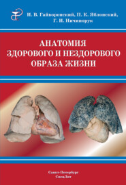 бесплатно читать книгу Анатомия здорового и нездорового образа жизни атлас автора Петр Яблонский